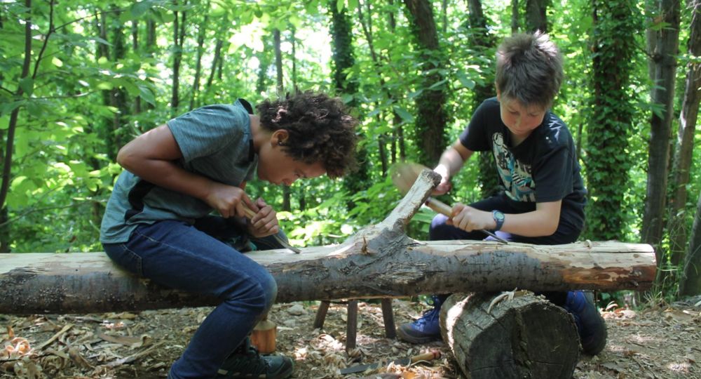 Stages en forêt de 8 à 18 ans_Malons-et-Elze