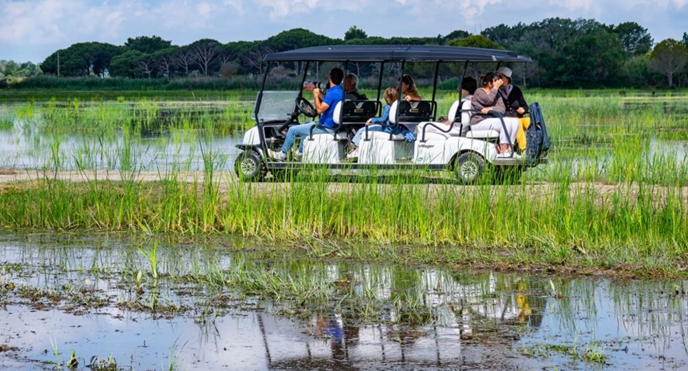 Visite - Safari en voiturette électrique dans la réserve du Petit Rhône_Vauvert