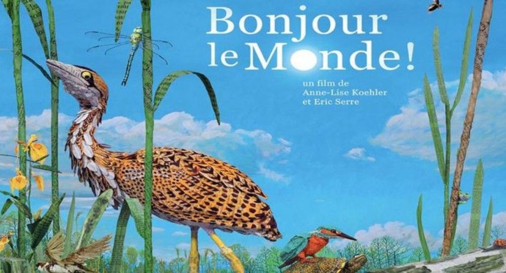 Projection - Bonjour le monde !_Collias