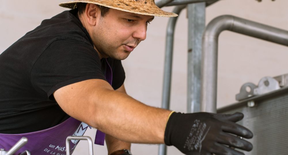 Visites guidées au Mas en Provence_Bellegarde