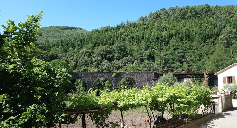 Le Viaduc de St Jean de Valériscle_Saint-Jean-de-Valériscle