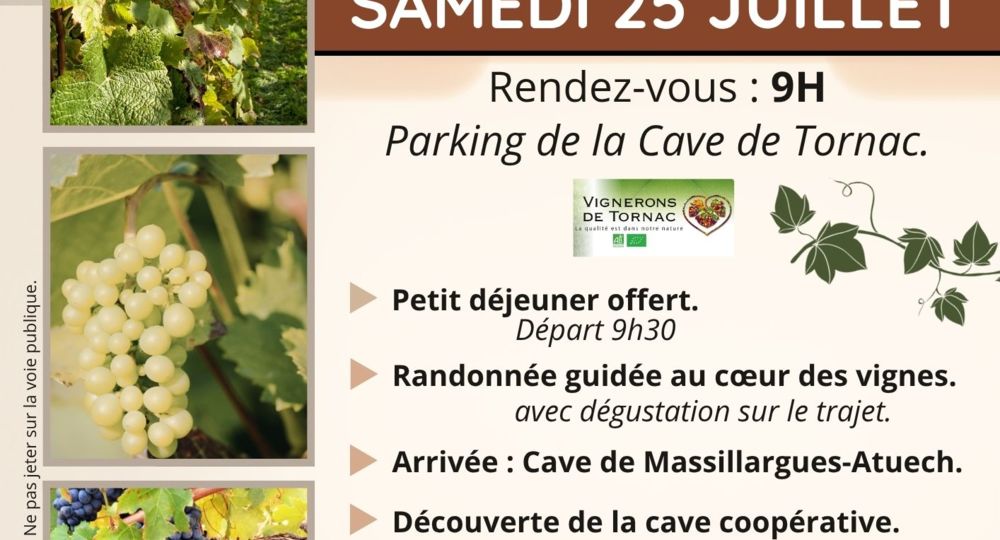 Randonnée - De la Vigne au Verre_Tornac
