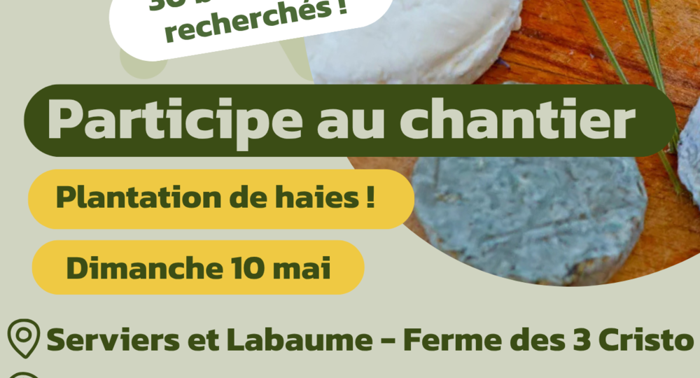 Chantier - Découverte et plantations d'arbres pour aider une ferme caprine