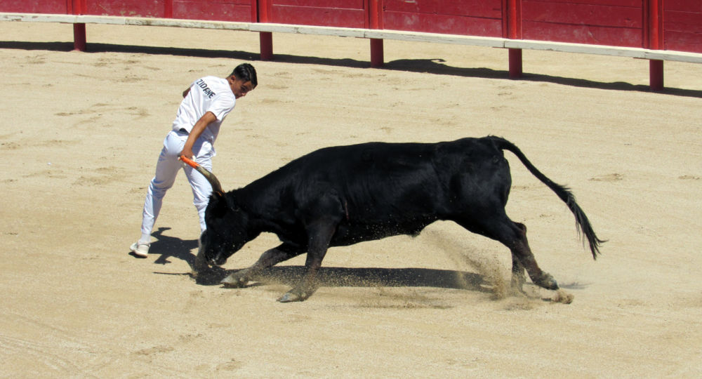 Course camarguaise