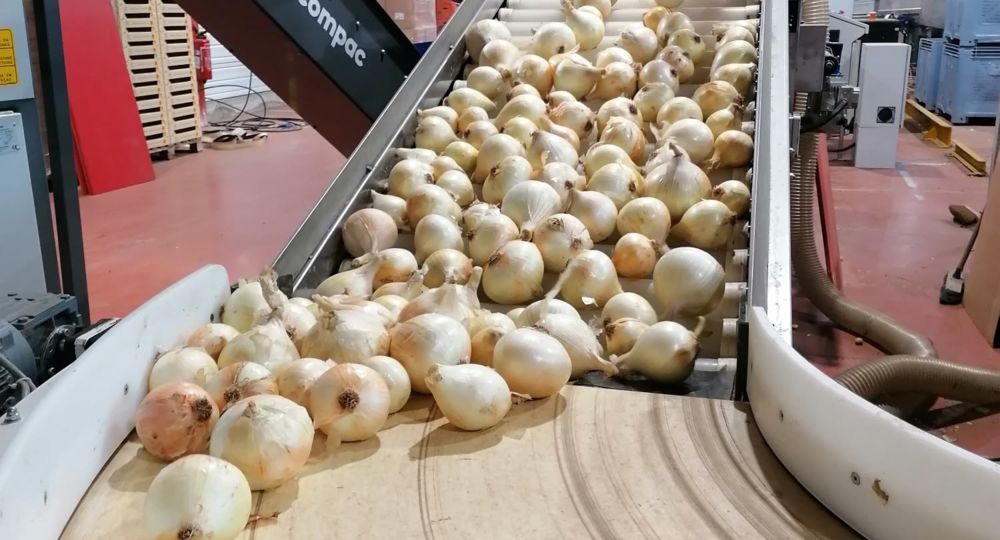 L'avant goût de la Foire_Le Vigan