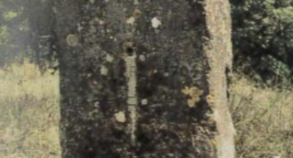 Stèle du Mas Nouguier-1