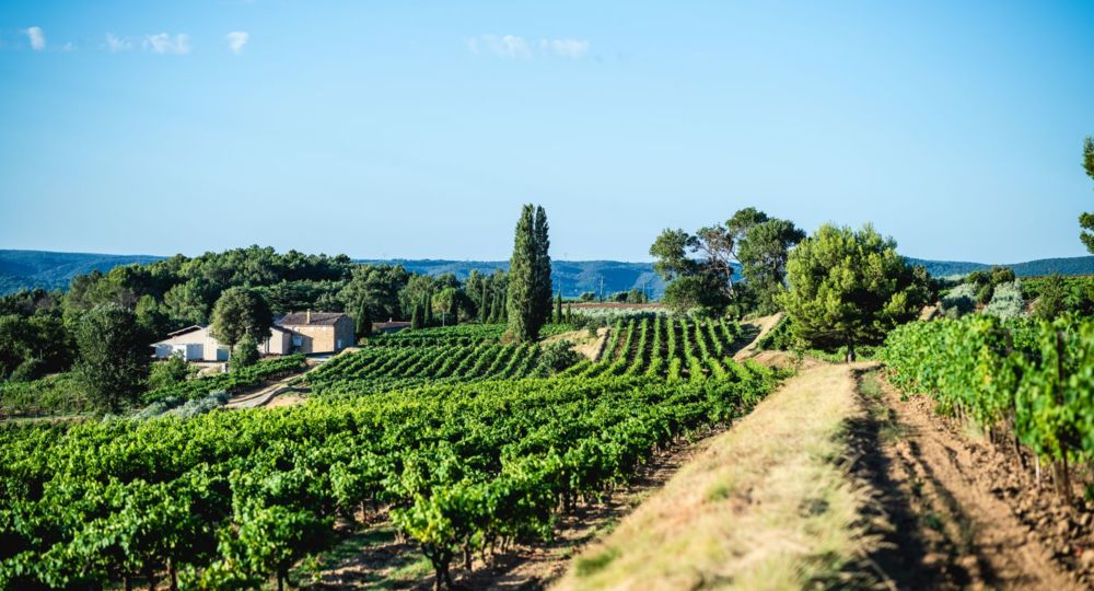 Domaine La Réméjeanne
