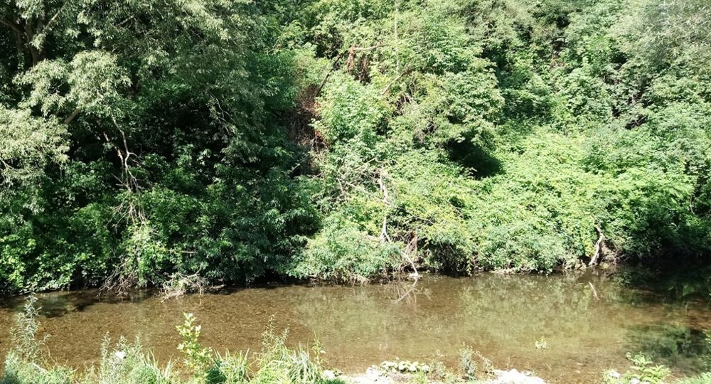 L'Auzonnet_Saint-Jean-de-Valériscle