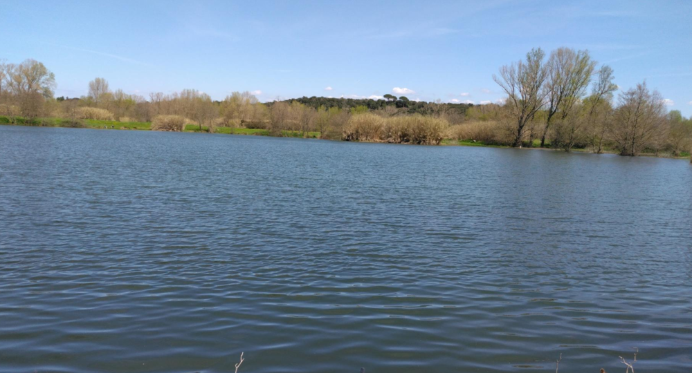 Randonnée : Plan d'eau de Massillargues-Attuch_Massillargues-Attuech