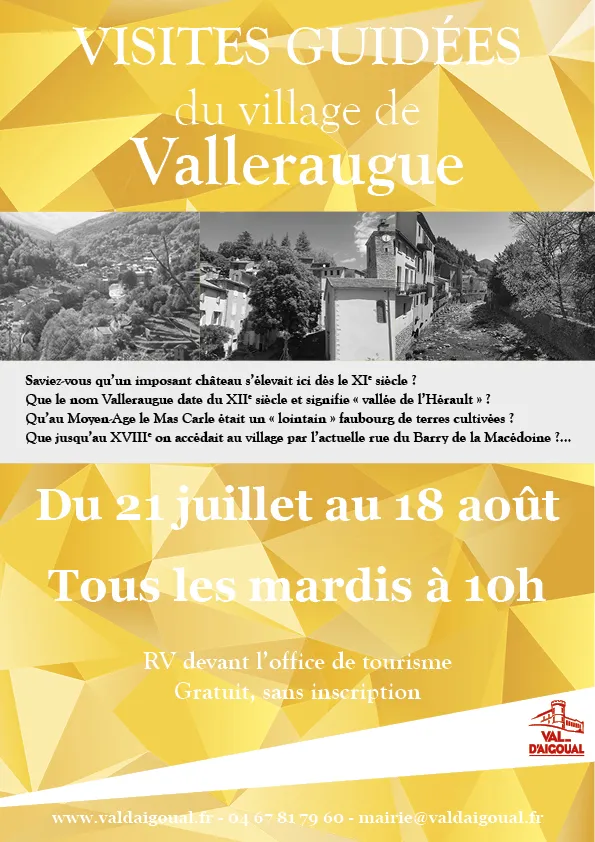Visite guidée de Valleraugue_Valleraugue