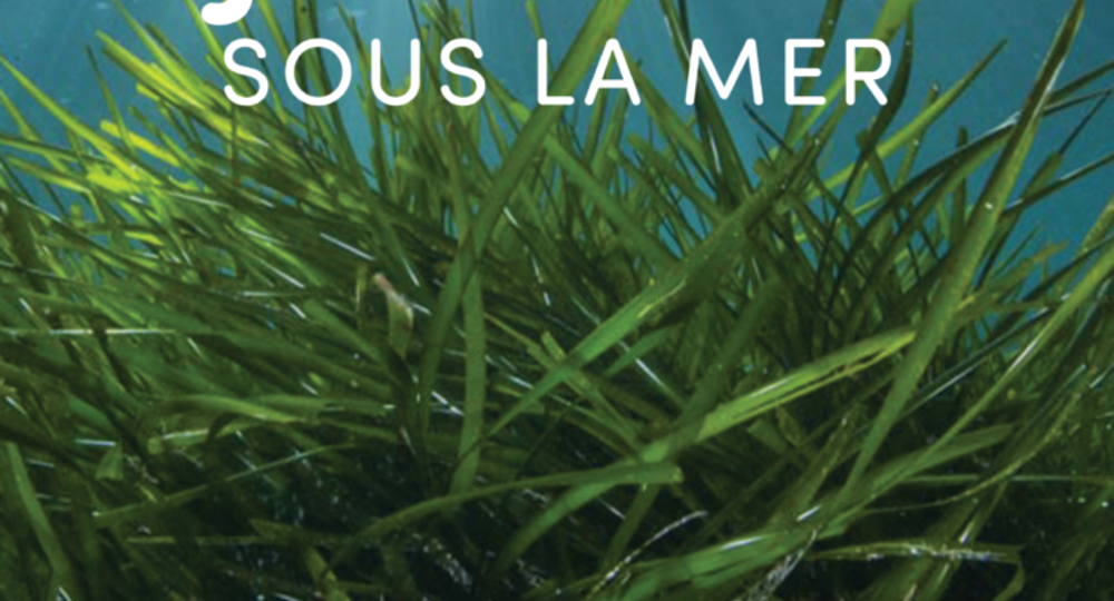 Exposition : Jardins sous la Mer - Seaquarium_Le Grau-du-Roi