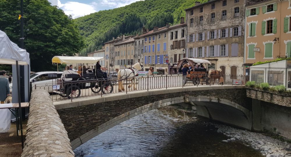 Fête du Printemps du Val d'Aigoual_Valleraugue