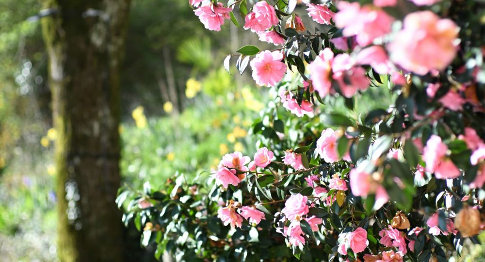La Ferme du Pouget_Saint-Jean-du-Gard