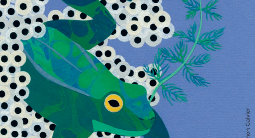 Exposition : Le voyage de neige, Manon Galvier_Vauvert