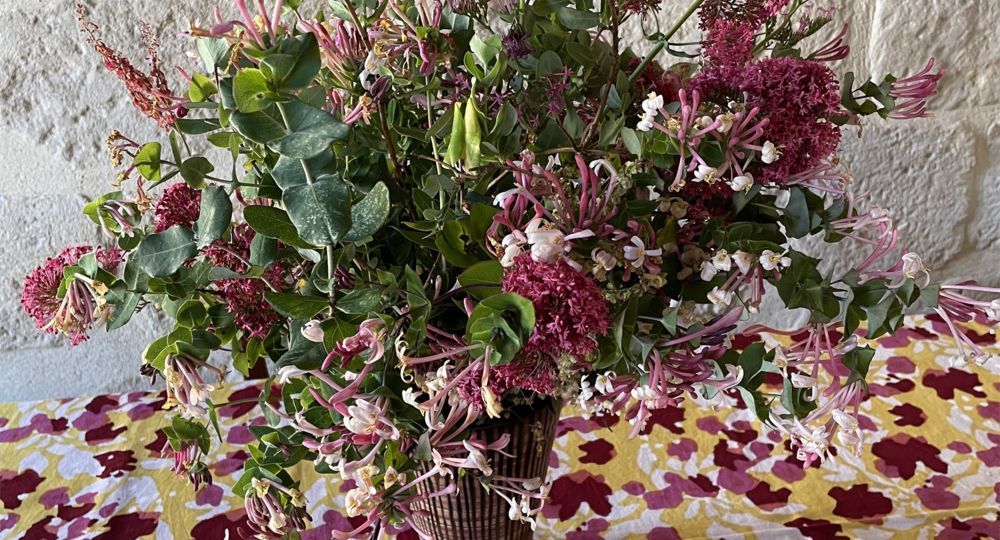 Bouquet de la garrigue