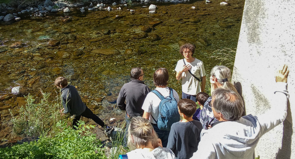 Fête du Printemps du Val d'Aigoual_Valleraugue