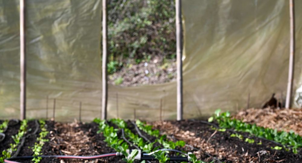 La Ferme du Pouget_Saint-Jean-du-Gard