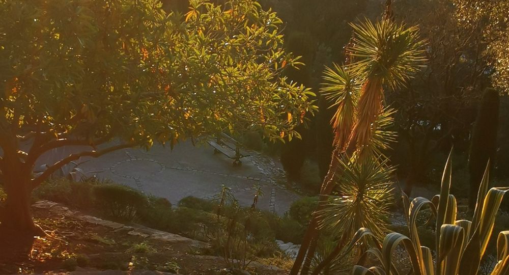 Rendez vous aux jardins