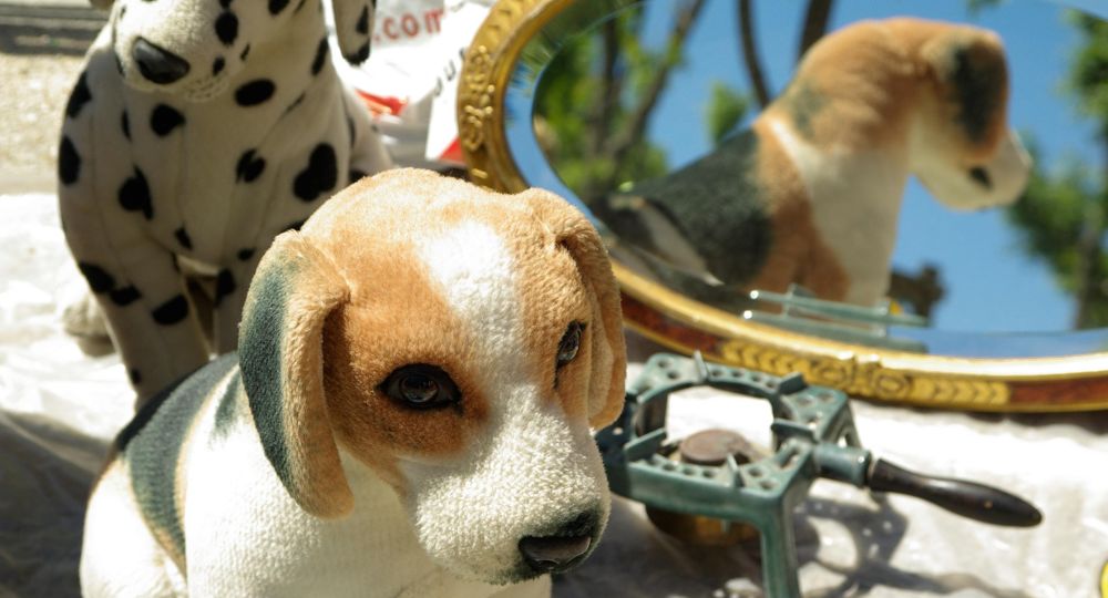 Anduze brocante_Anduze