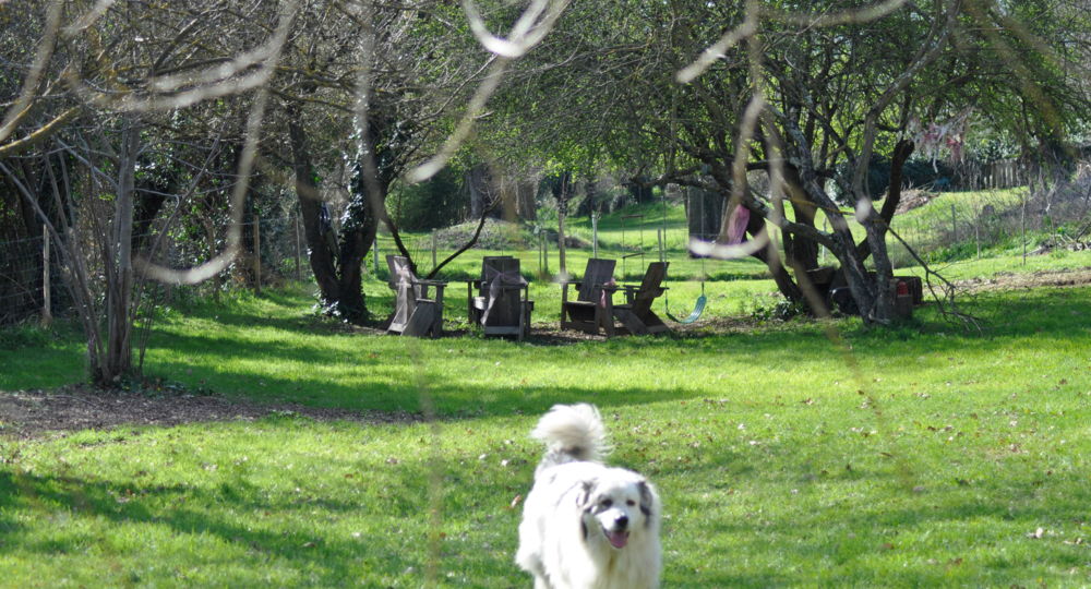 Chambre d'hôtes Sitio Nathalie et Jos