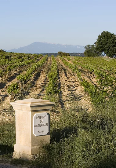 Prieuré de Montézargues_Tavel