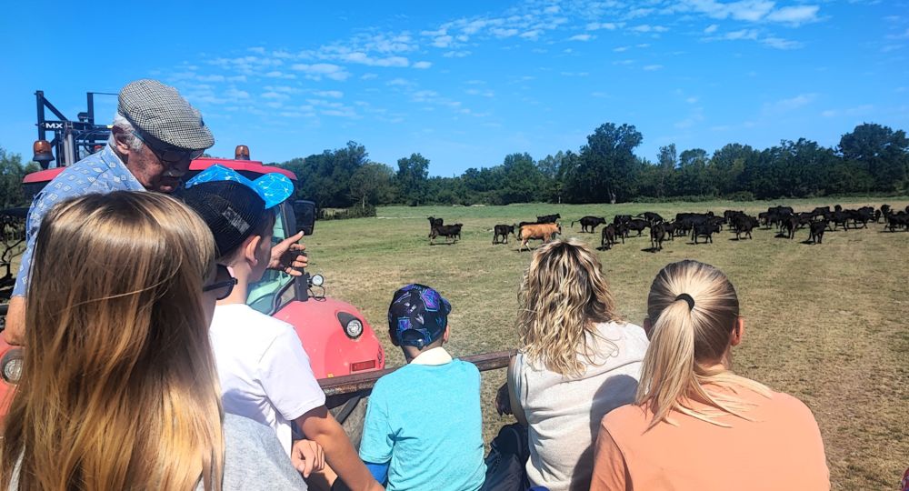 Immersion dans l'univers des Gardians_Vallabrègues