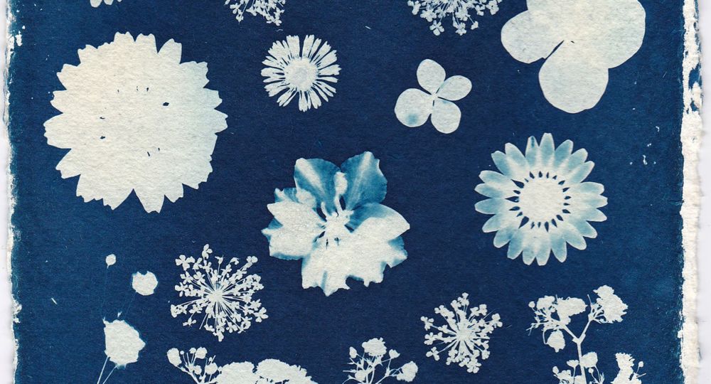 Atelier en famille - Cyanotype_Nîmes