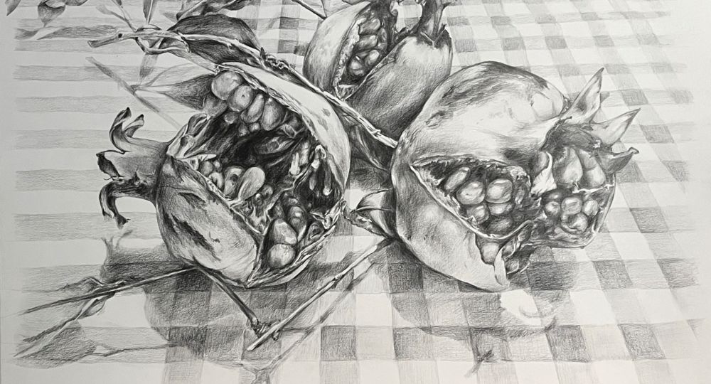 Trois grenades éclatées - Graphite sur papier - 65x50 cm
