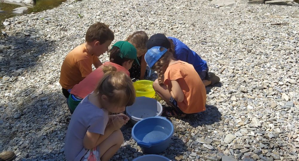 Animation Nature : Le Petit Peuple de l'Eau_Les Plantiers