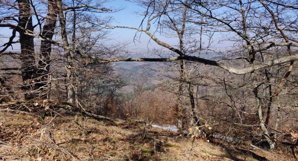 Randonnée de 2 jours - Le versant nord de l'Aigoual_L'Esperou