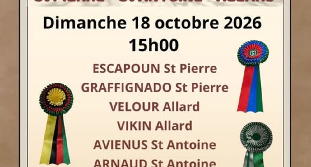 Course camarguaise d'anniversaire - Trophée niveau avenir_Montfrin