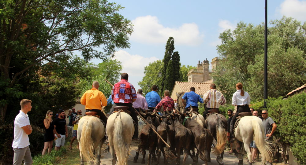 Fete votive Montcalm