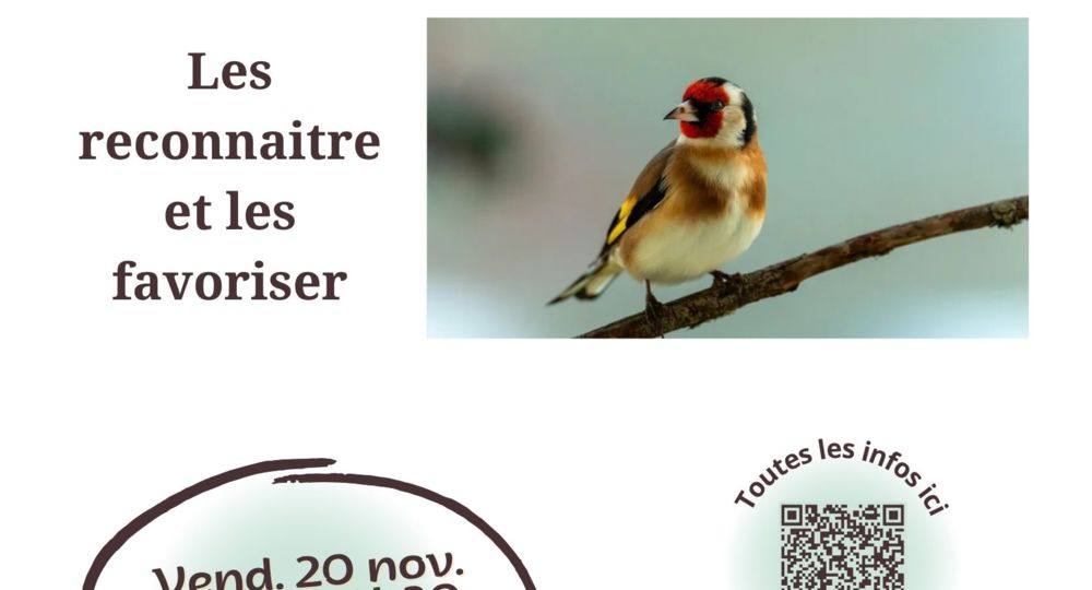 Conférence oiseaux des jardins