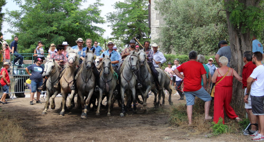 Fete votive Montcalm