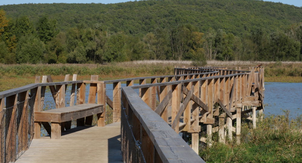 Sentier d'interpretation de l'étang de la Capelle Masmolène_La Capelle-et-Masmolène