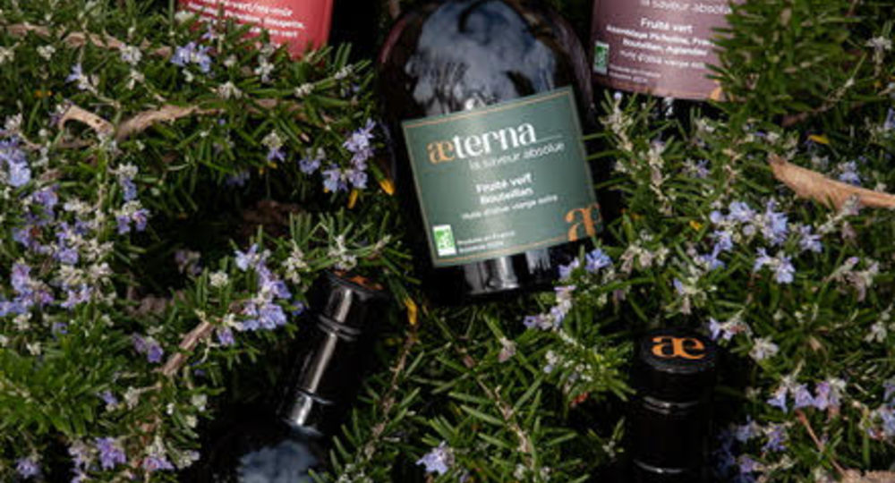 Initiation et dégustation d'huile d'olive chez Maison Aeterna_Salazac