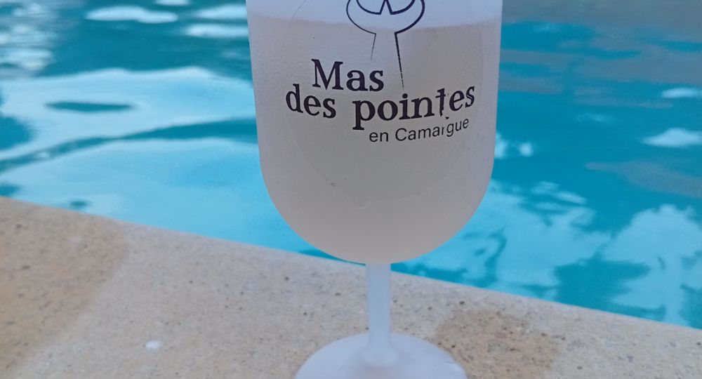 Mas des Pointes - Gîte La Paillère_Beauvoisin