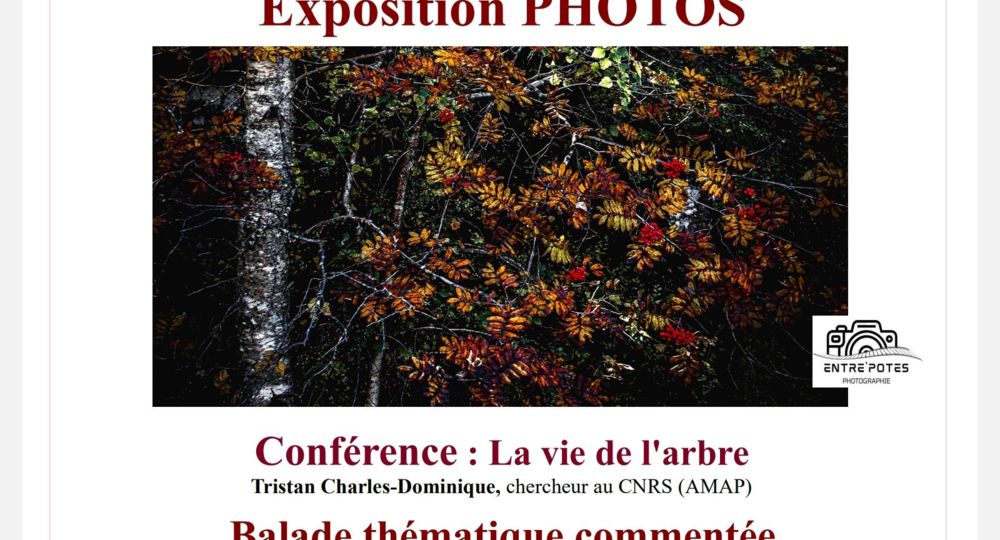 Affiche programme