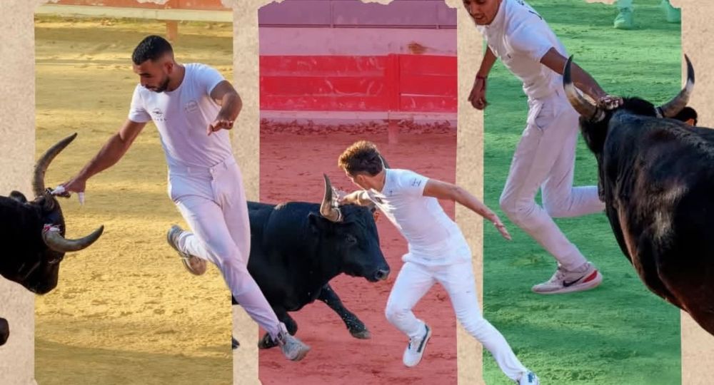 Courses Camarguaises à Jonquières-Saint-Vincent_Jonquières-Saint-Vincent