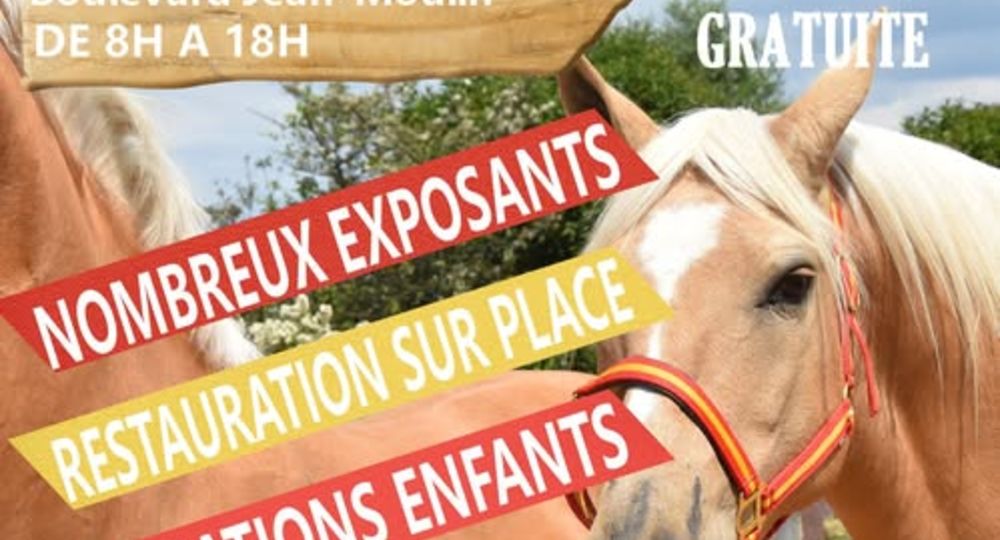 1er Foire aux chevaux d'Aimargues_Aimargues