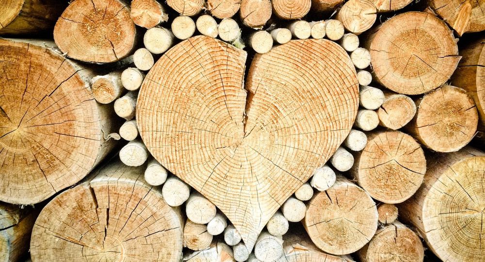 Dimanche d'Uzès - Journée Tout autour du Bois_Uzès