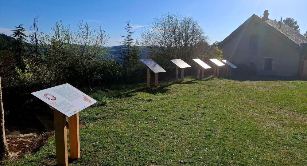IMAGO paysages révélés_Trèves