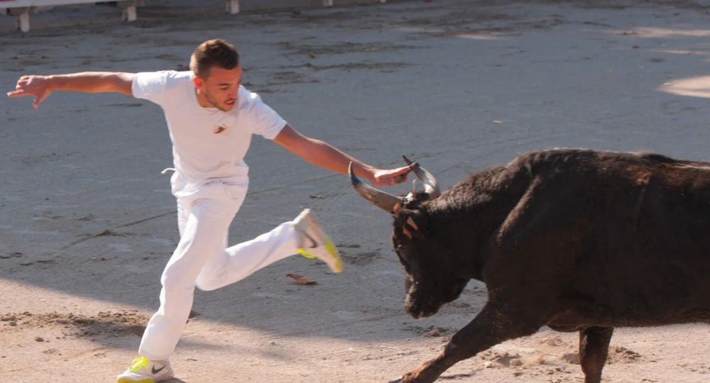Courses Camarguaises - Trophée Niveau Avenir_Beaucaire