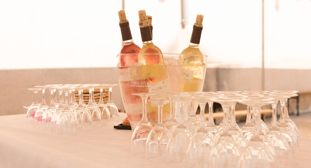 Balade et commentée dans le vignoble et dégustation de vins_Bourdic