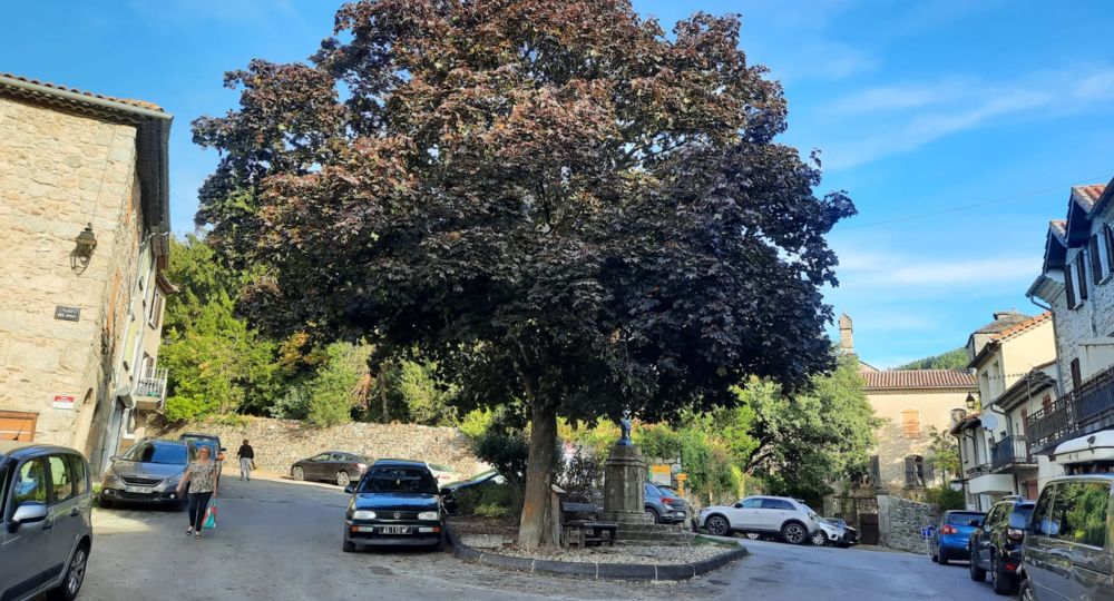 Place des Ayres à Génolhac_Génolhac