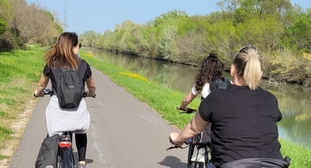 Visite guidée - Tous en selle !_Beaucaire