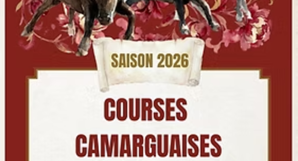 Course Camarguaise de taureaux jeunes_Le Grau-du-Roi