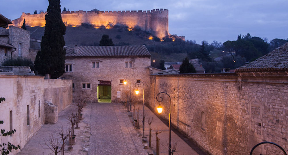 Sortie nocturne : 30ème Nuit Internationale de la chauve-souris_Villeneuve-lez-Avignon