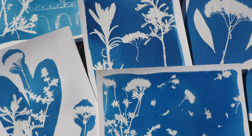 Atelier - Je fabrique mon cyanotype