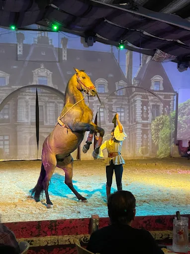Repas Spectacle Equestre & Flamenco_Le Grau-du-Roi